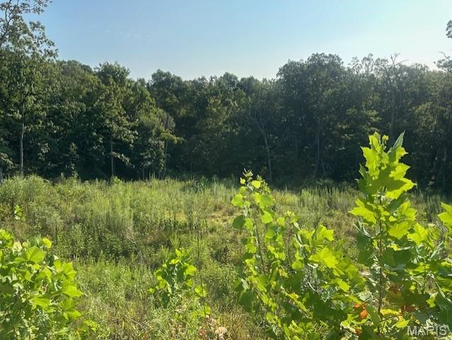 16960 Cescutti Road Marthasville, MO 63357 - Photo 4 of 6