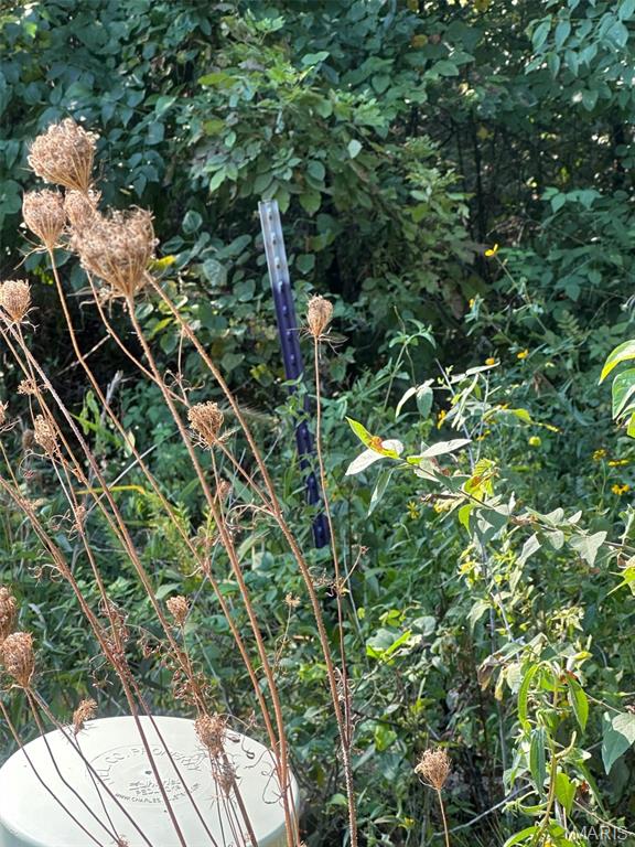 16960 Cescutti Road Marthasville, MO 63357 - Photo 5 of 6