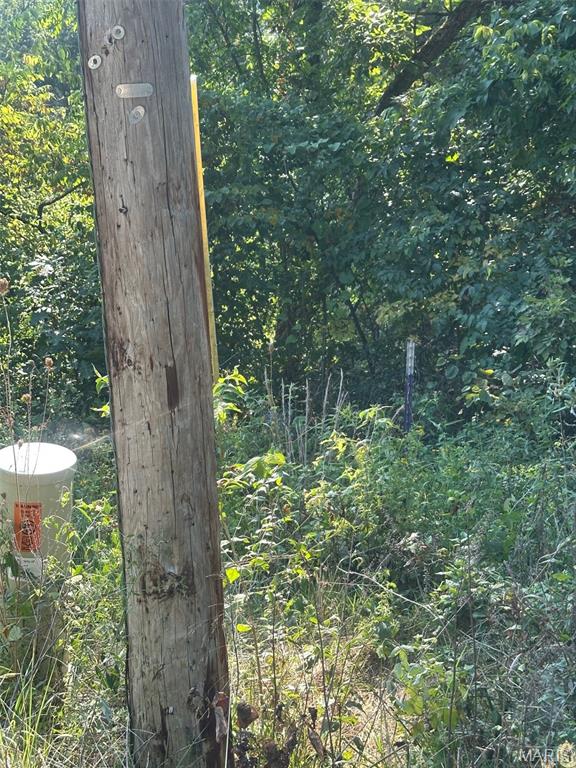 16960 Cescutti Road Marthasville, MO 63357 - Photo 6 of 6