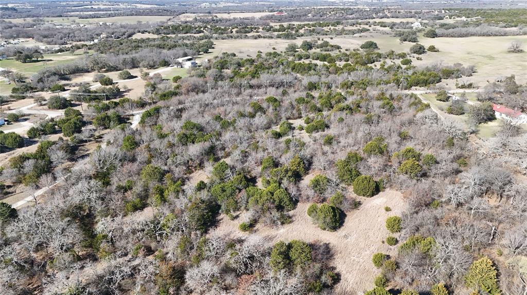 18-ac Prather Road Springtown, TX 76082 - Photo 12 of 12 view of a yard with a tree