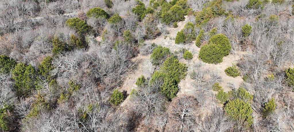 18-ac Prather Road Springtown, TX 76082 - Photo 5 of 12 a view of a yard with plants and a bench