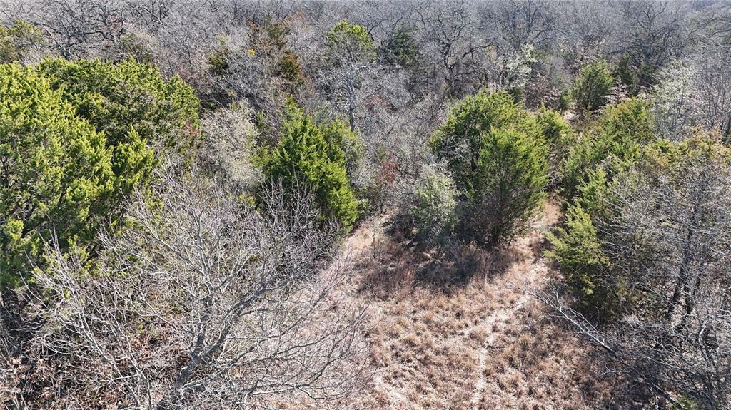 18-ac Prather Road Springtown, TX 76082 - Photo 6 of 12 a picture of trees