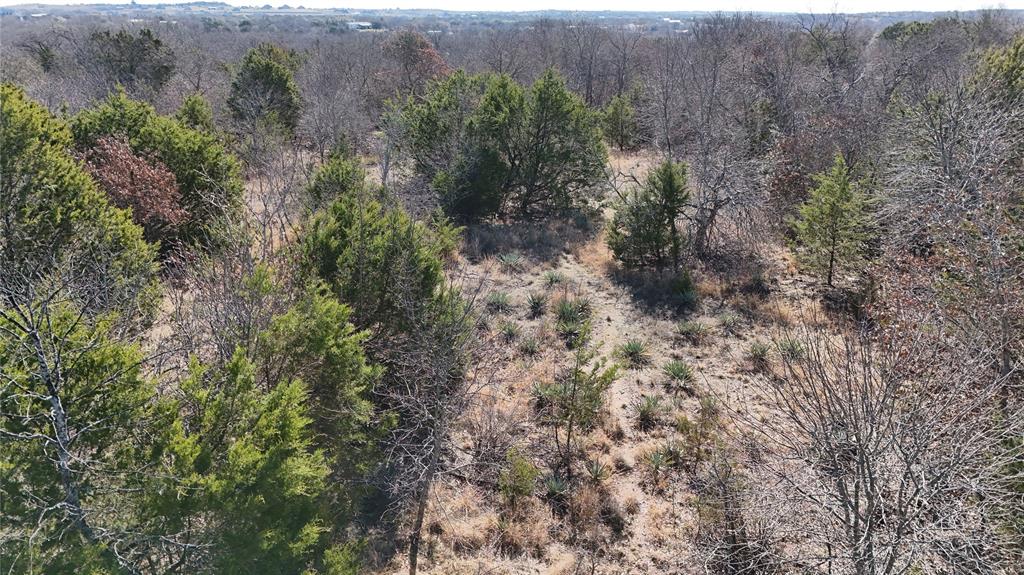 18-ac Prather Road Springtown, TX 76082 - Photo 9 of 12 a view of a forest with a street