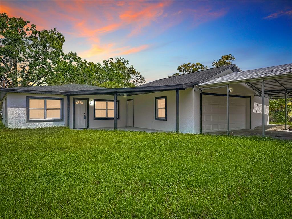 a view of a backyard with plants and large garden