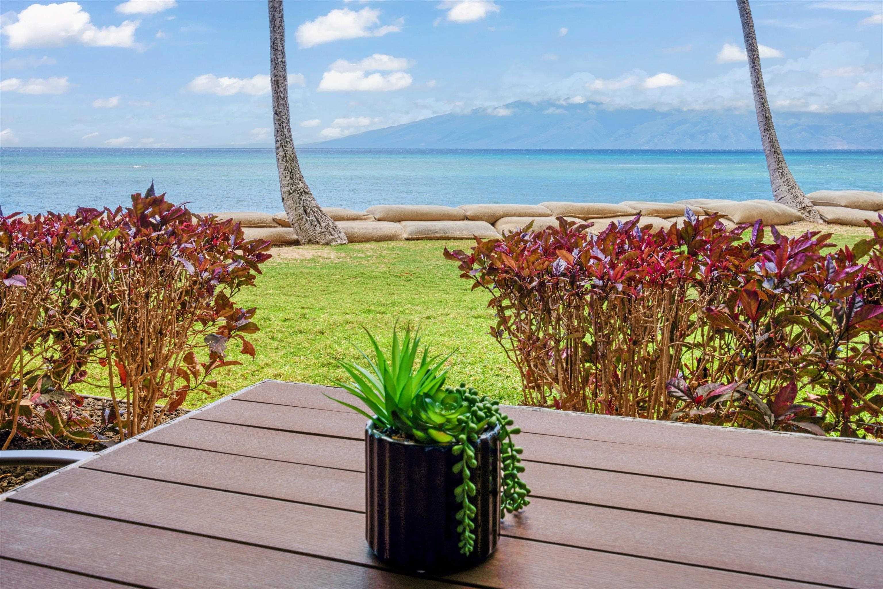 4327 Lower Honoapiilani Road, Unit 107B Lahaina, HI 96761 - Photo 19 of 35 Gallery Image 19