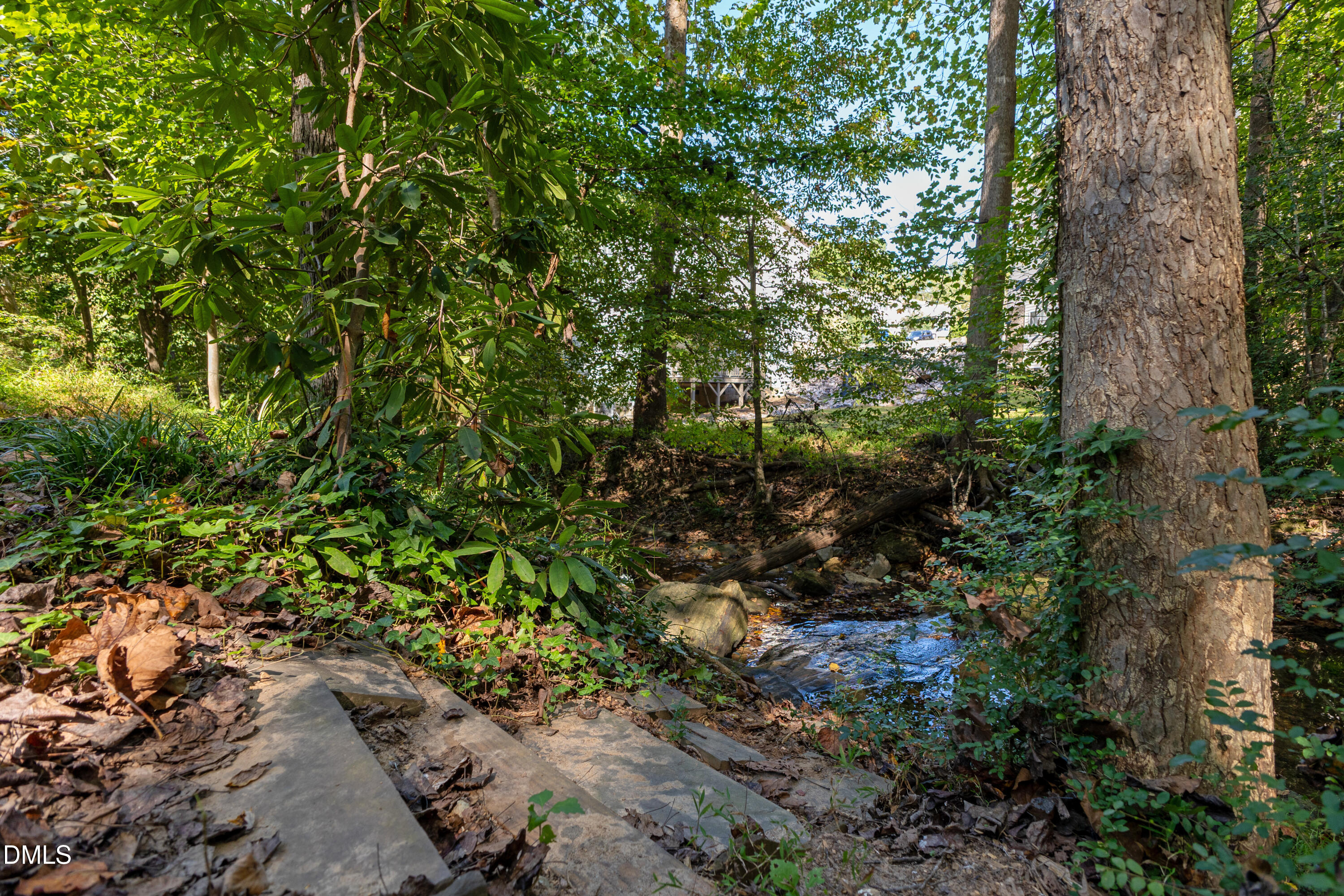 6125 Bellow Street Raleigh, NC 27609 - Photo 40 of 41 Backyard