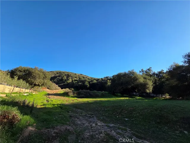 a view of a grassy field with an trees