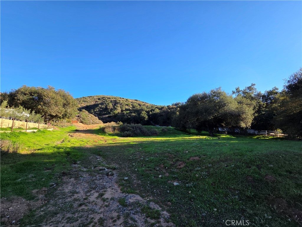 0 Jackson Ranch Road South Silverado, CA 92676 - Photo 12 of 17 a view of a grassy area with an ocean