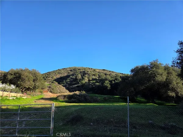 a view of a field with an tree in the background