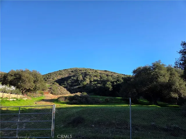 a view of a field with an tree in the background