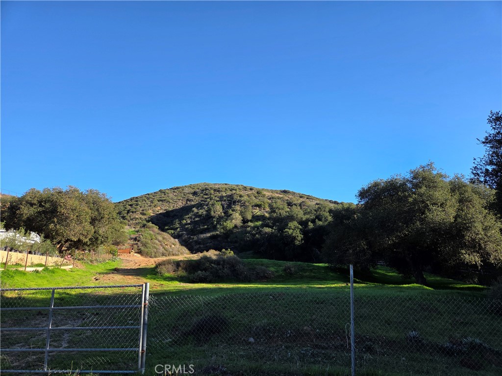 0 Jackson Ranch Road South Silverado, CA 92676 - Photo 17 of 17 a view of a field with an tree in the background