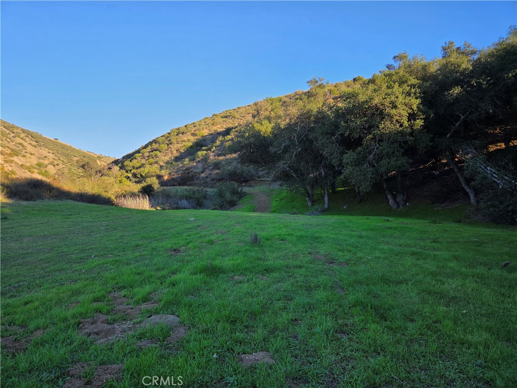 0 Jackson Ranch Road South Silverado, CA 92676 - Photo 6 of 17 a view of a garden with mountains