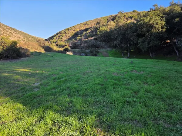a view of a field of grass and a mountain