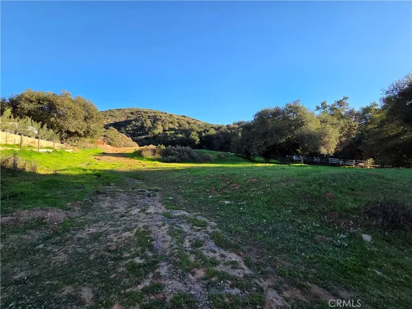 a view of a grassy area with an trees