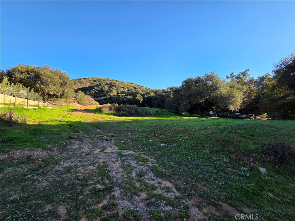 0 Jackson Ranch Road South Silverado, CA 92676 - Photo 10 of 17 a view of a grassy area with an trees
