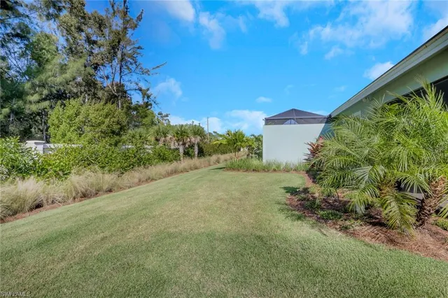 a view of a field with plants and a bench