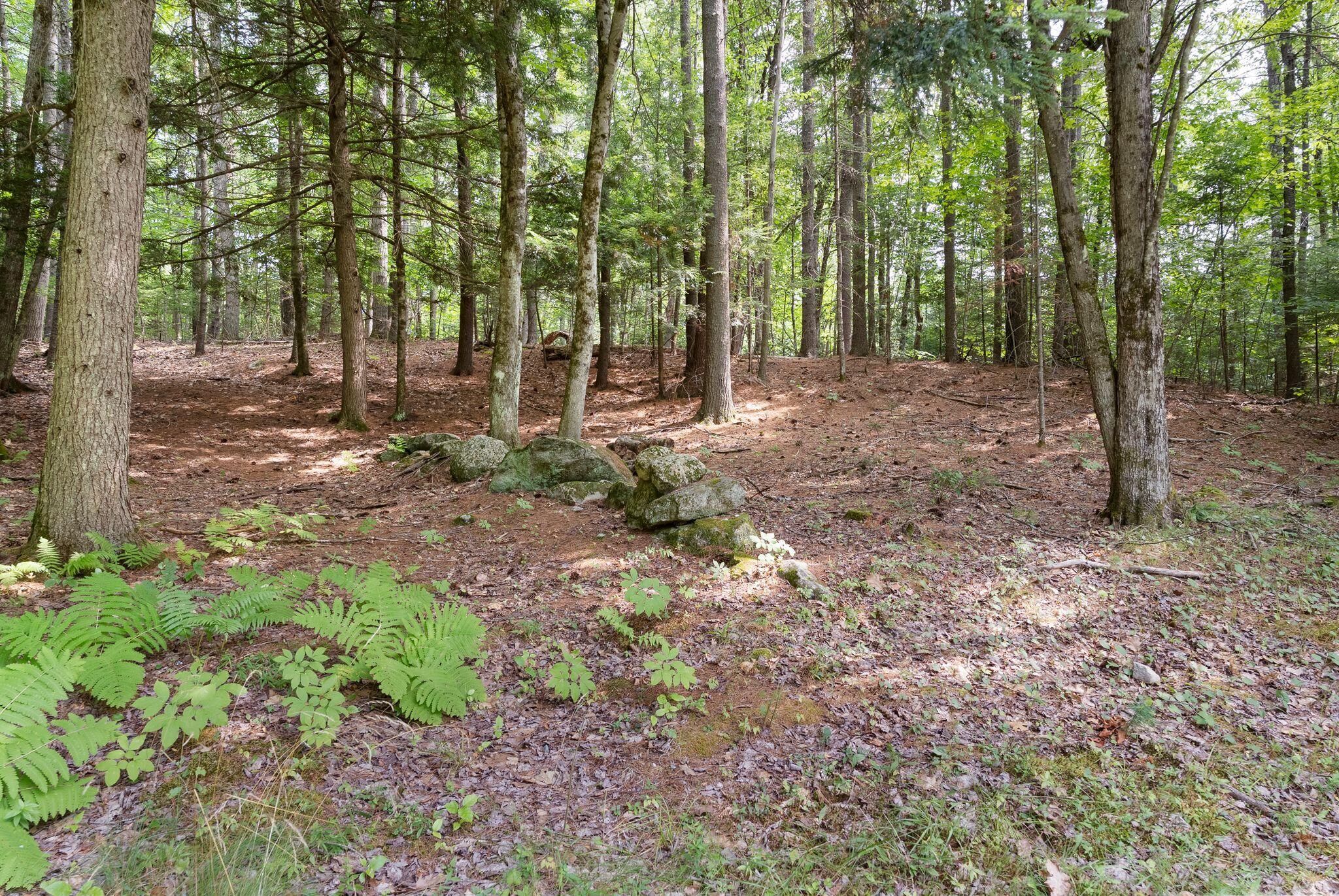 110 Christopher Road North Yarmouth, ME 04097 - Photo 53 of 62 14_DSC06606