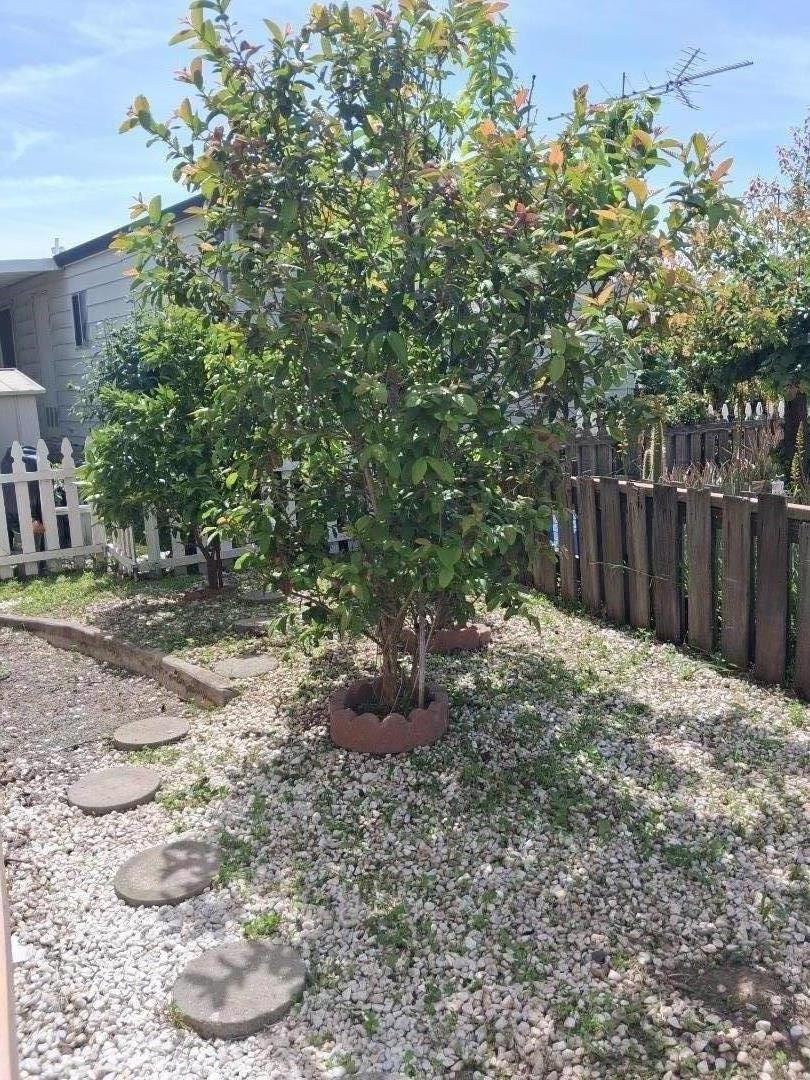 2150 Almaden Road, Unit 142 San Jose, CA 95125 - Photo 4 of 14