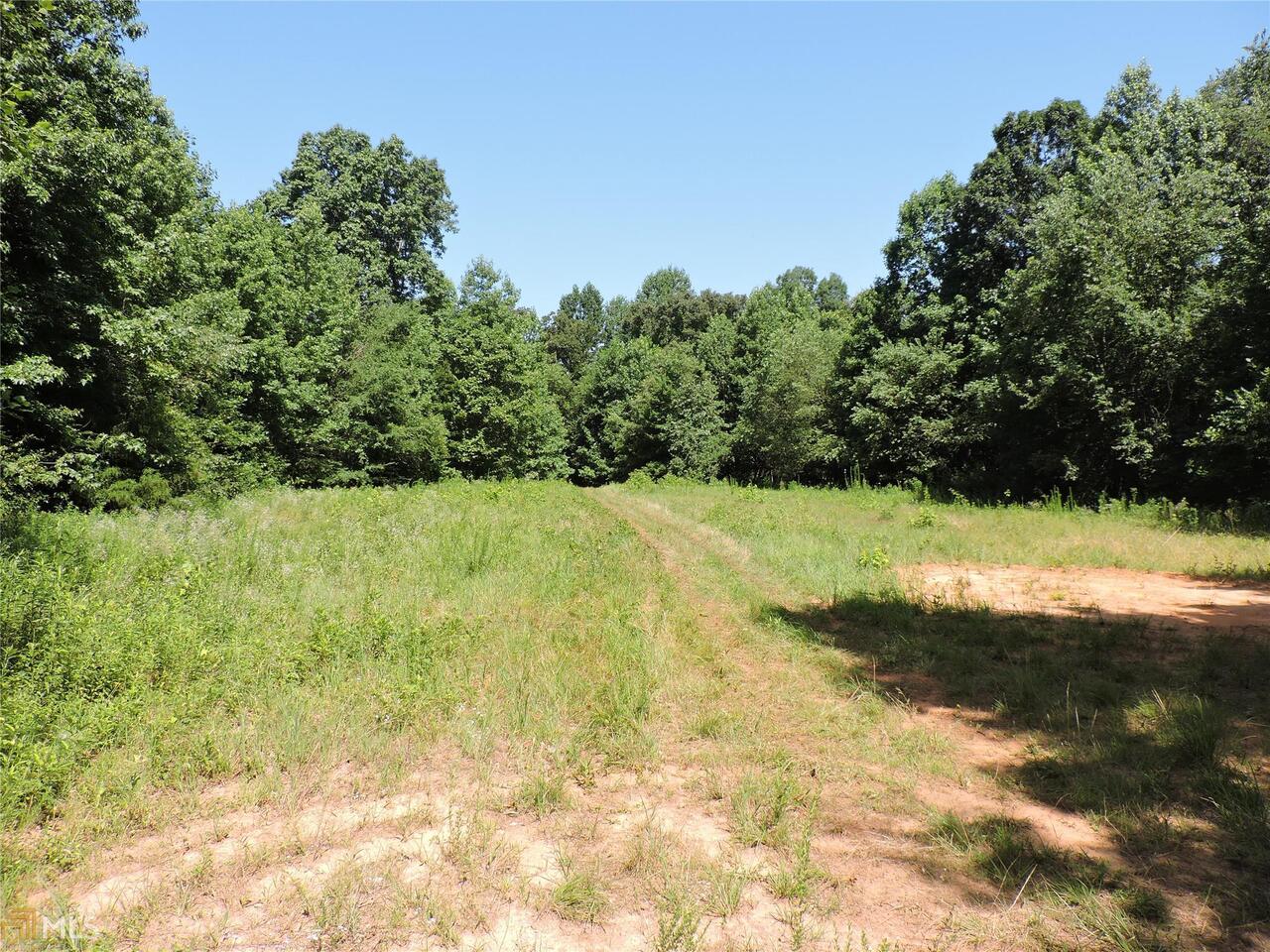 0 Burke Road Carnesville, GA 30521 - Photo 1 of 1