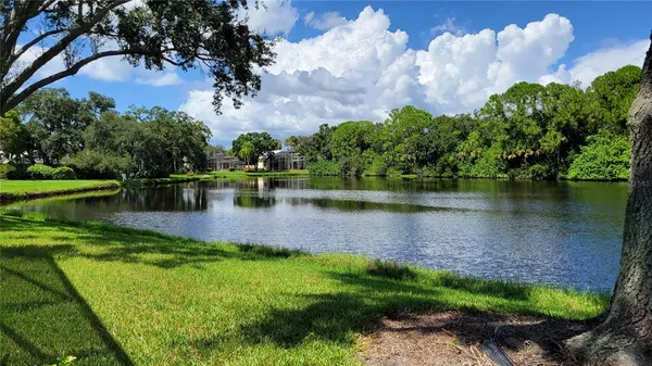 a view of a lake with a yard