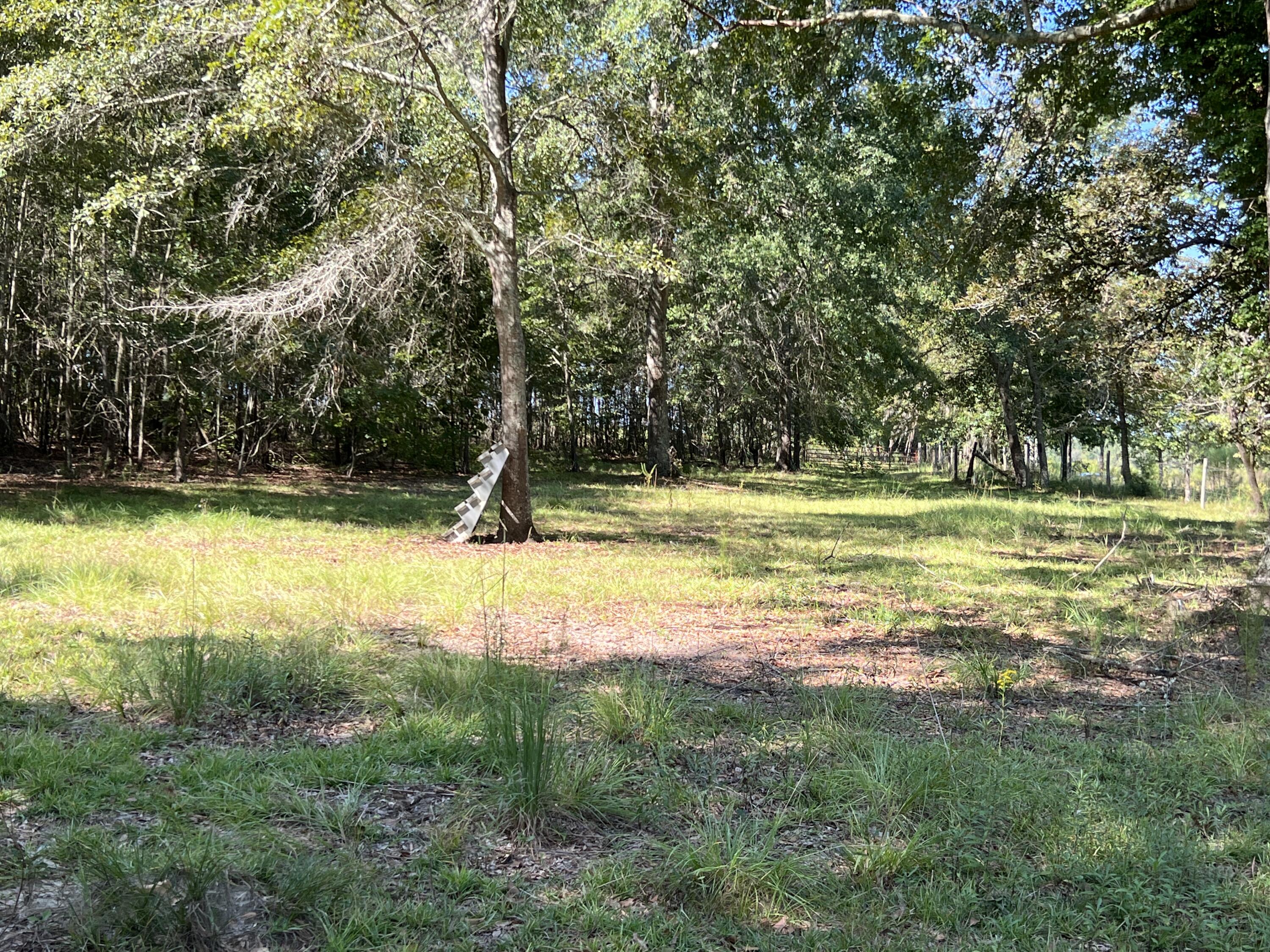 689 Hemlock Road Barnwell, SC 29812 - Photo 8 of 18 Gallery Image 8