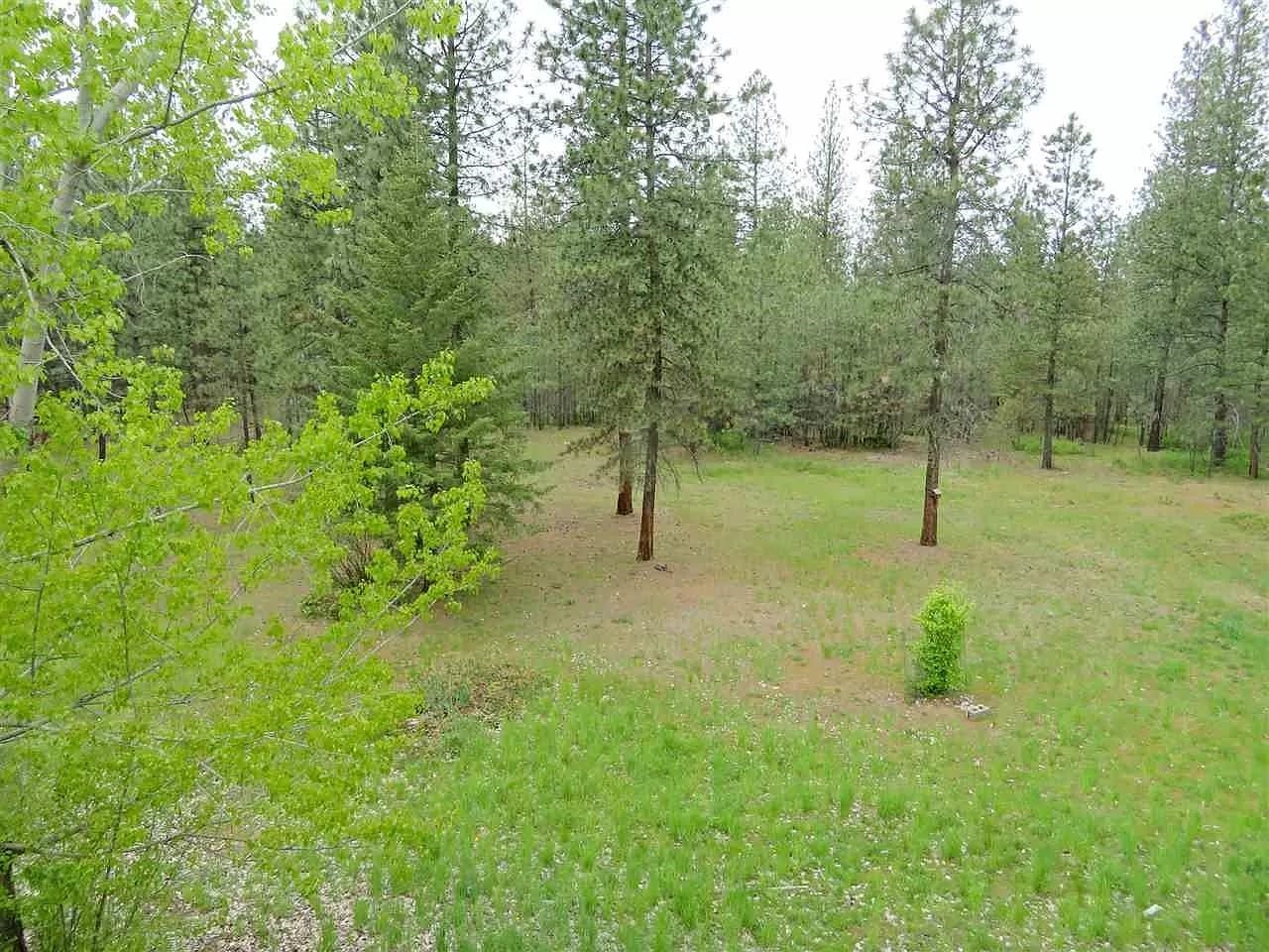 4807 East Chattaroy Road Chattaroy, WA 99003 - Photo 30 of 32