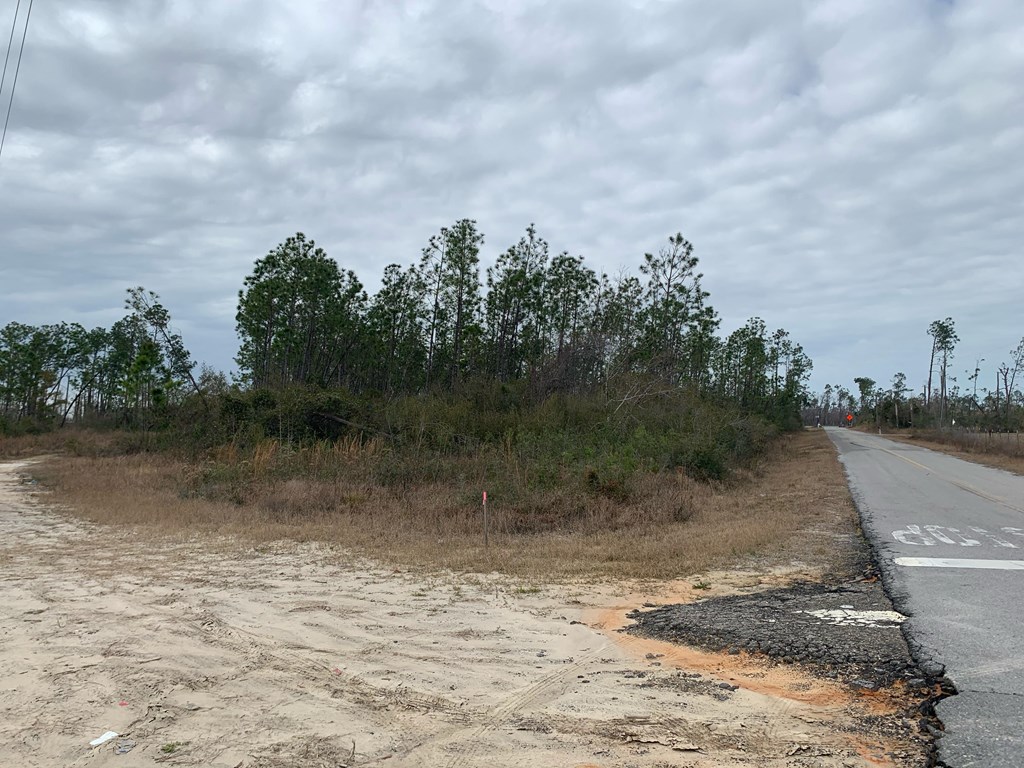 Lot Shell Shell Road Port St. Joe, FL 32456 - Photo 2 of 6
