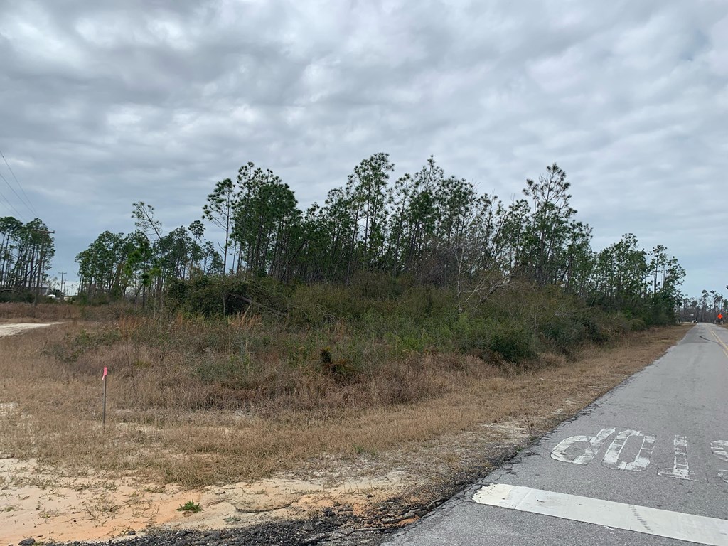 Lot Shell Shell Road Port St. Joe, FL 32456 - Photo 3 of 6