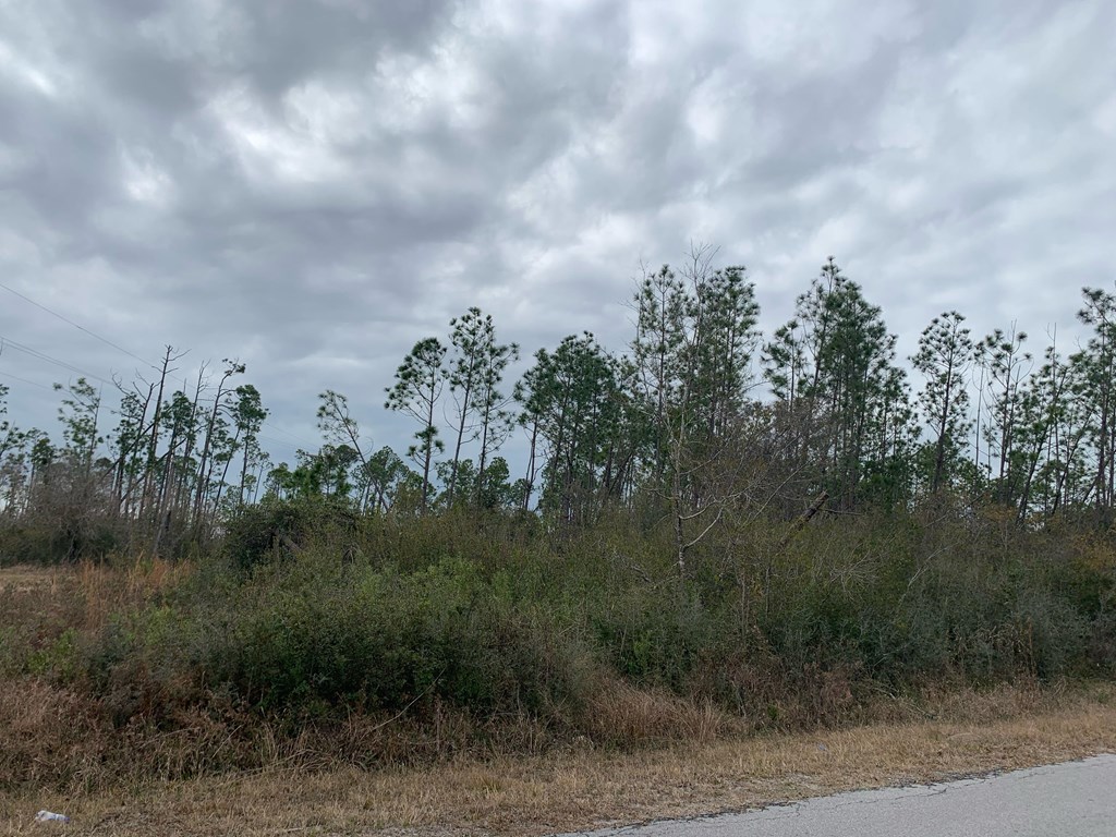 Lot Shell Shell Road Port St. Joe, FL 32456 - Photo 4 of 6