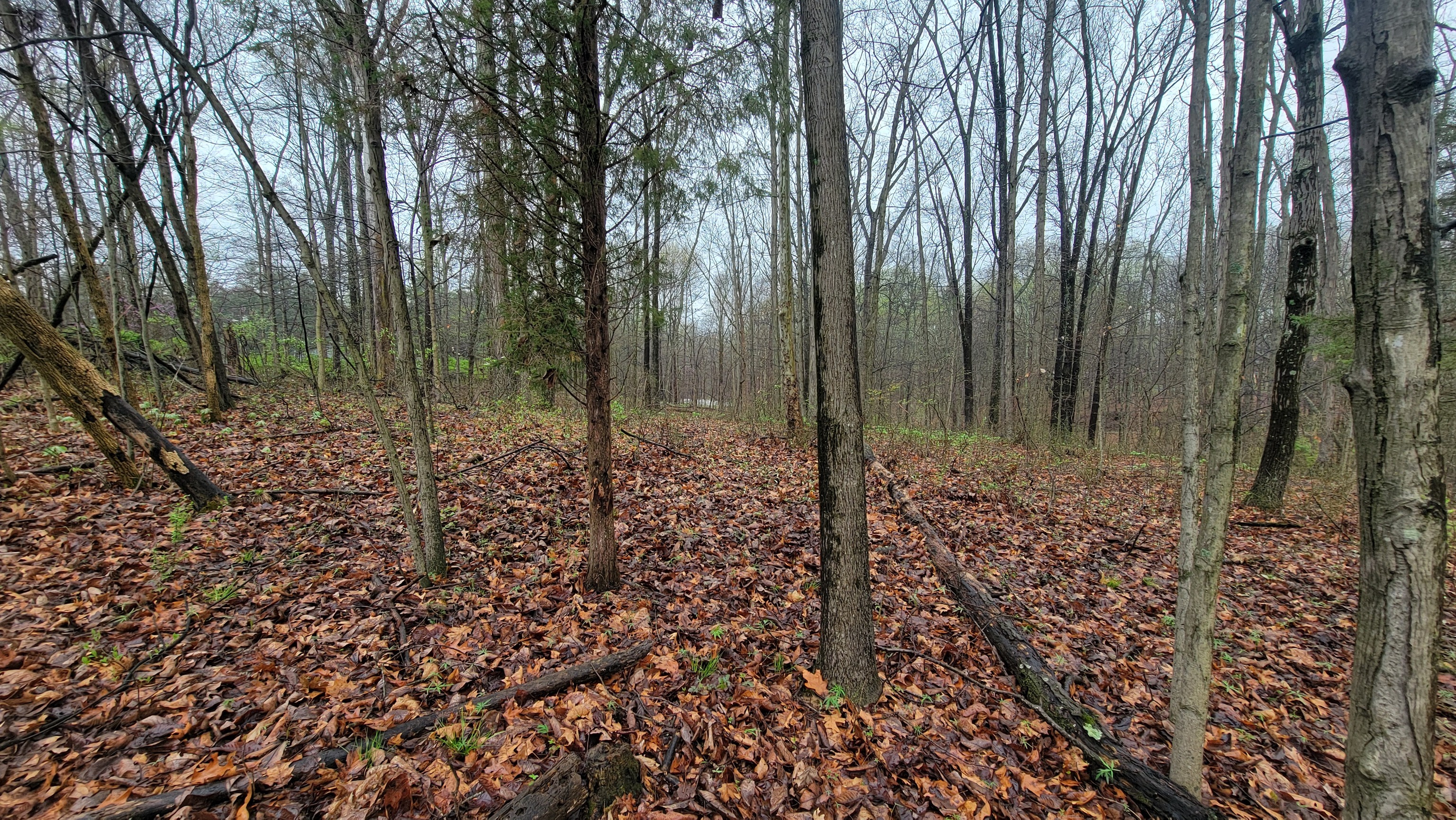 Gallery Image 6