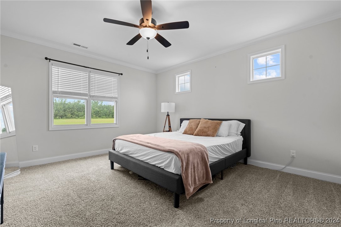 1937 Josey Williams Road Erwin, NC 28339 - Photo 17 of 38 Gallery Image 17