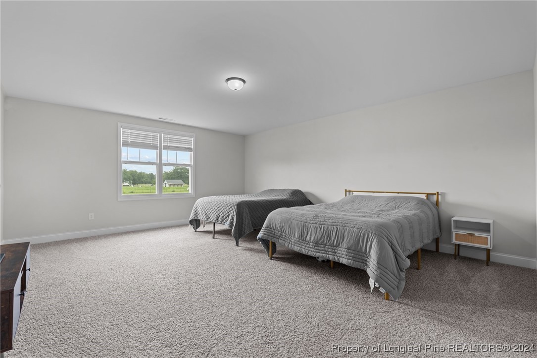 1937 Josey Williams Road Erwin, NC 28339 - Photo 31 of 38 Gallery Image 31
