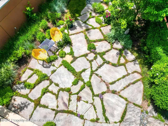 a picture of flowers