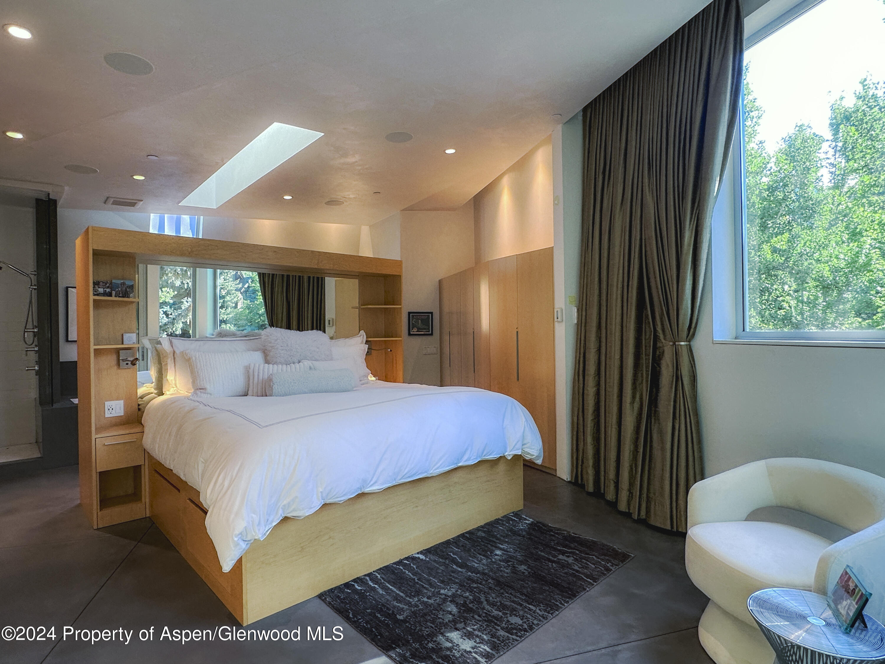 1015 Cemetery Lane Aspen, CO 81611 - Photo 20 of 46 a bed room with a bed and a couch