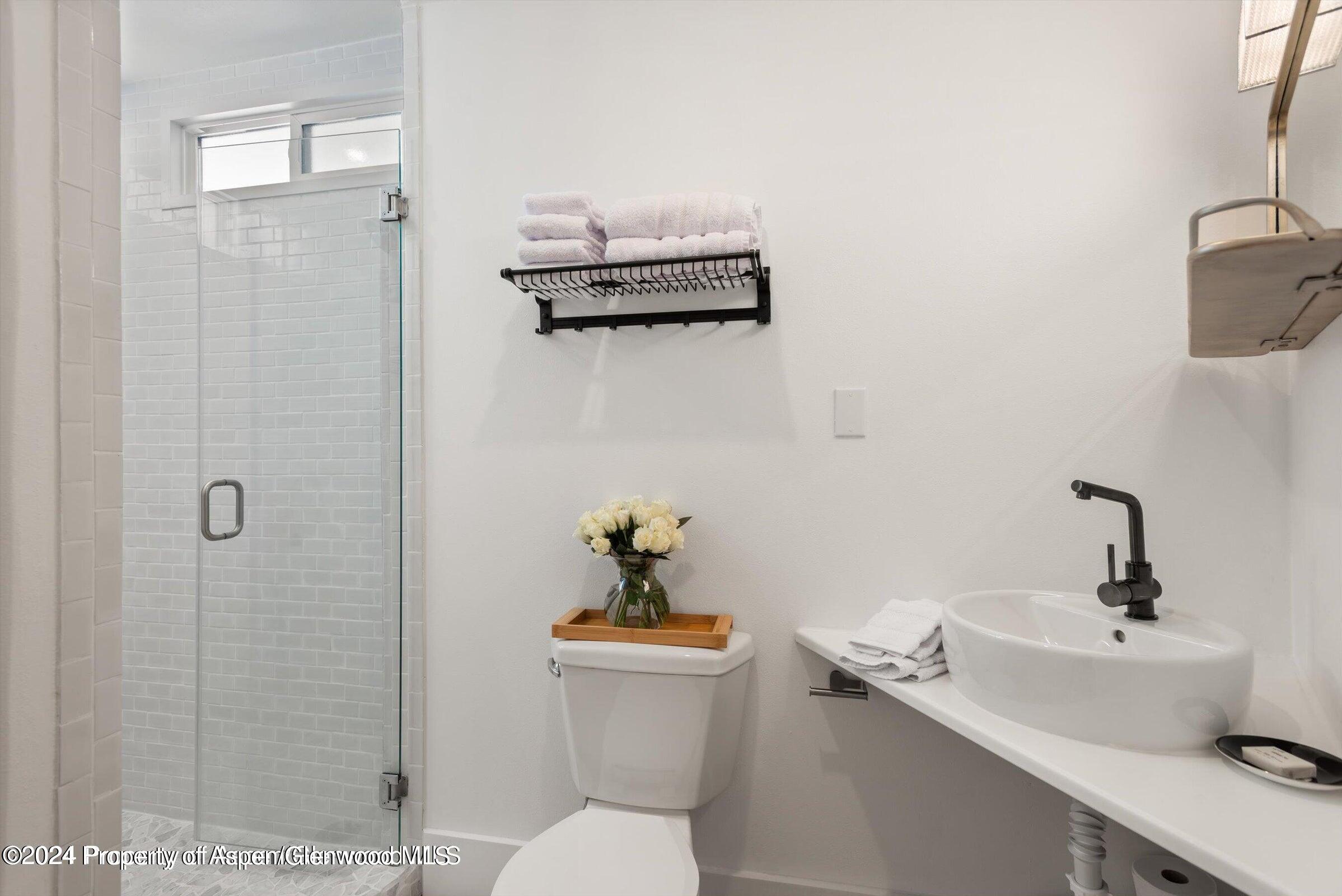 1015 Cemetery Lane Aspen, CO 81611 - Photo 41 of 46 a bathroom with a sink mirror and toilet