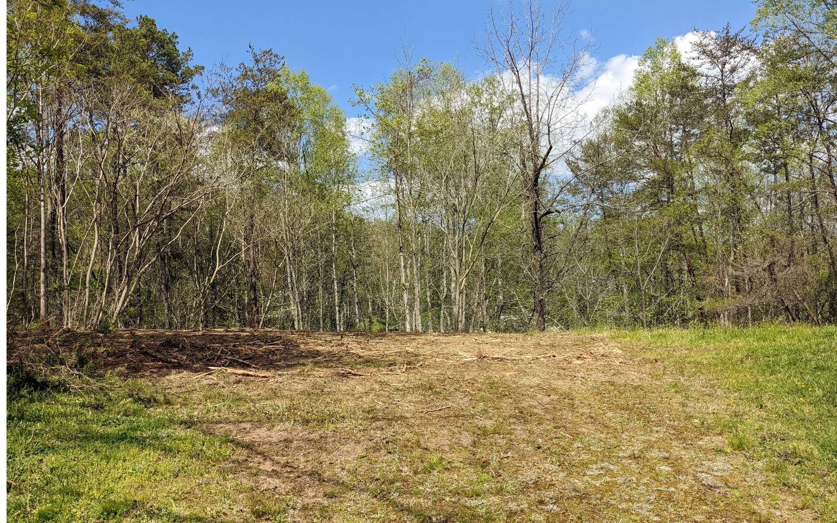 Lot 2 Huntington Ridge Road Blairsville, GA 30512 - Photo 4 of 29 Additional View