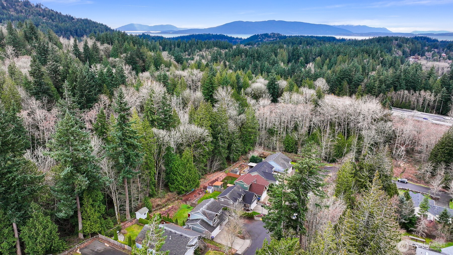 3500 South Avenue Bellingham, WA 98229 - Photo 38 of 38 a view of a lot of trees and mountains