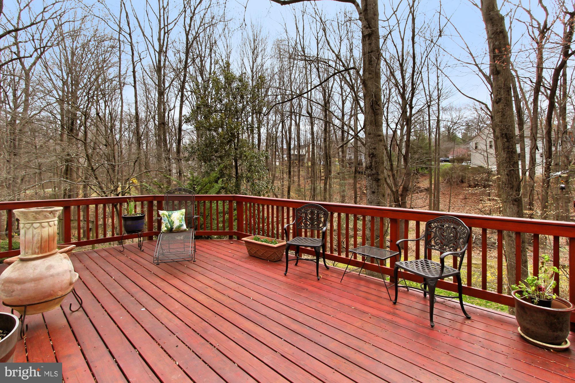 6837 Spring Beauty Court Springfield, VA 22152 - Photo 50 of 56