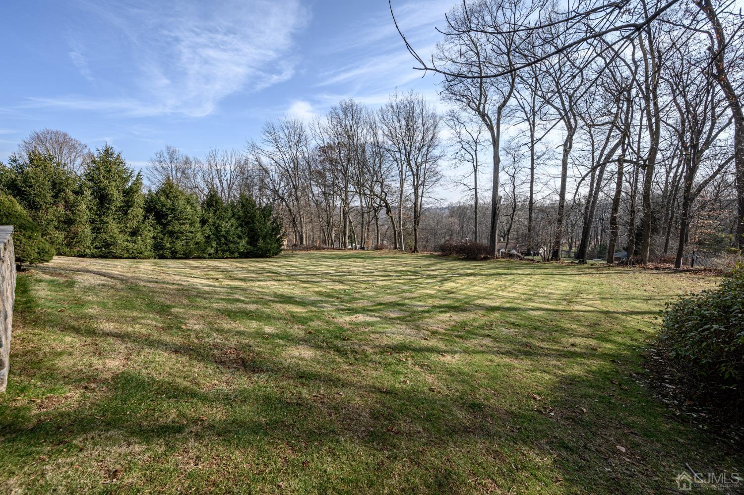 7 Putters Road Succasunna, NJ 07876 - Photo 34 of 40 a view of a field with trees in the background