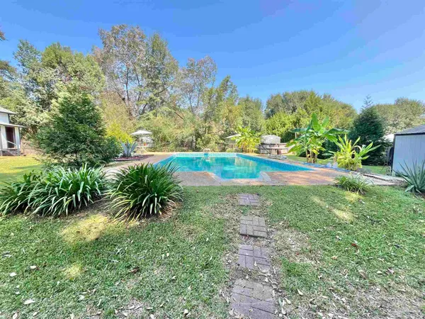 a view of a garden with plants and a small yard