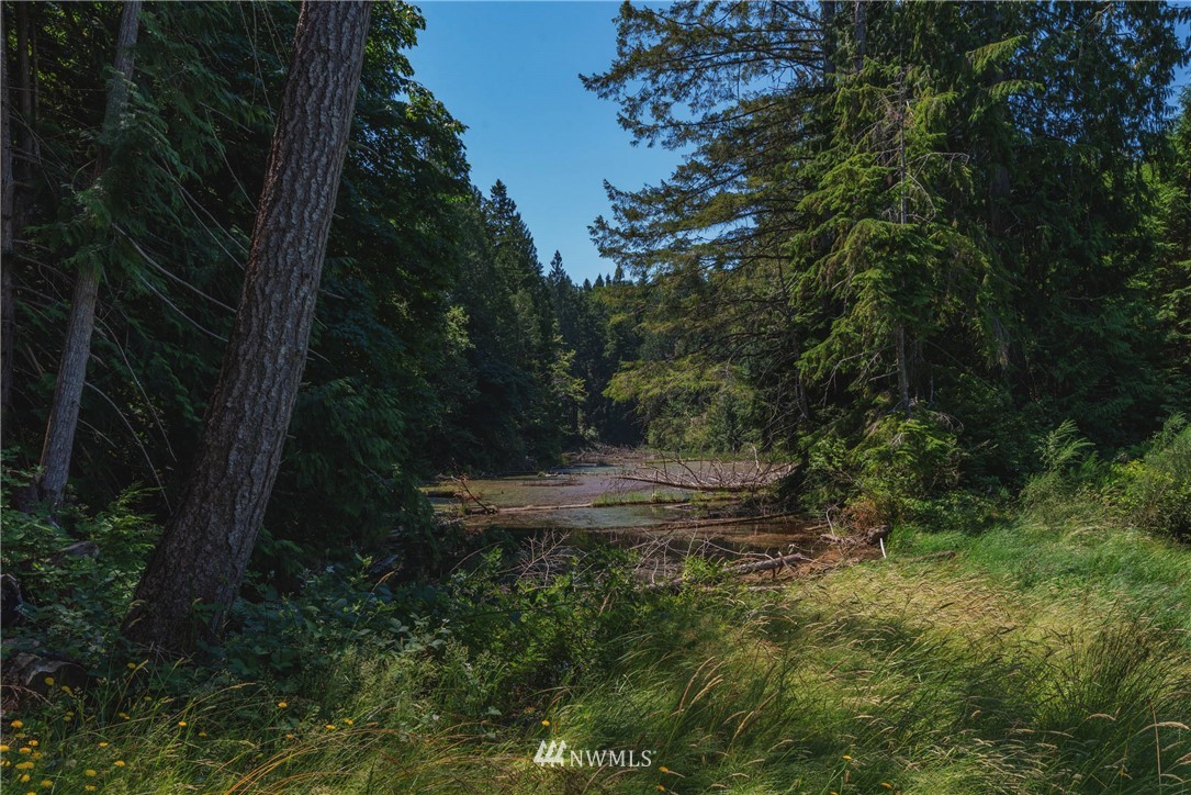 1192 Black Point Road Brinnon, WA 98320 - Photo 3 of 10 a view of outdoor space and yard