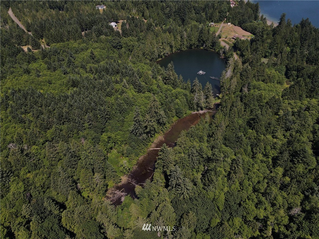 1192 Black Point Road Brinnon, WA 98320 - Photo 5 of 10 an aerial view of residential house with outdoor space and trees all around