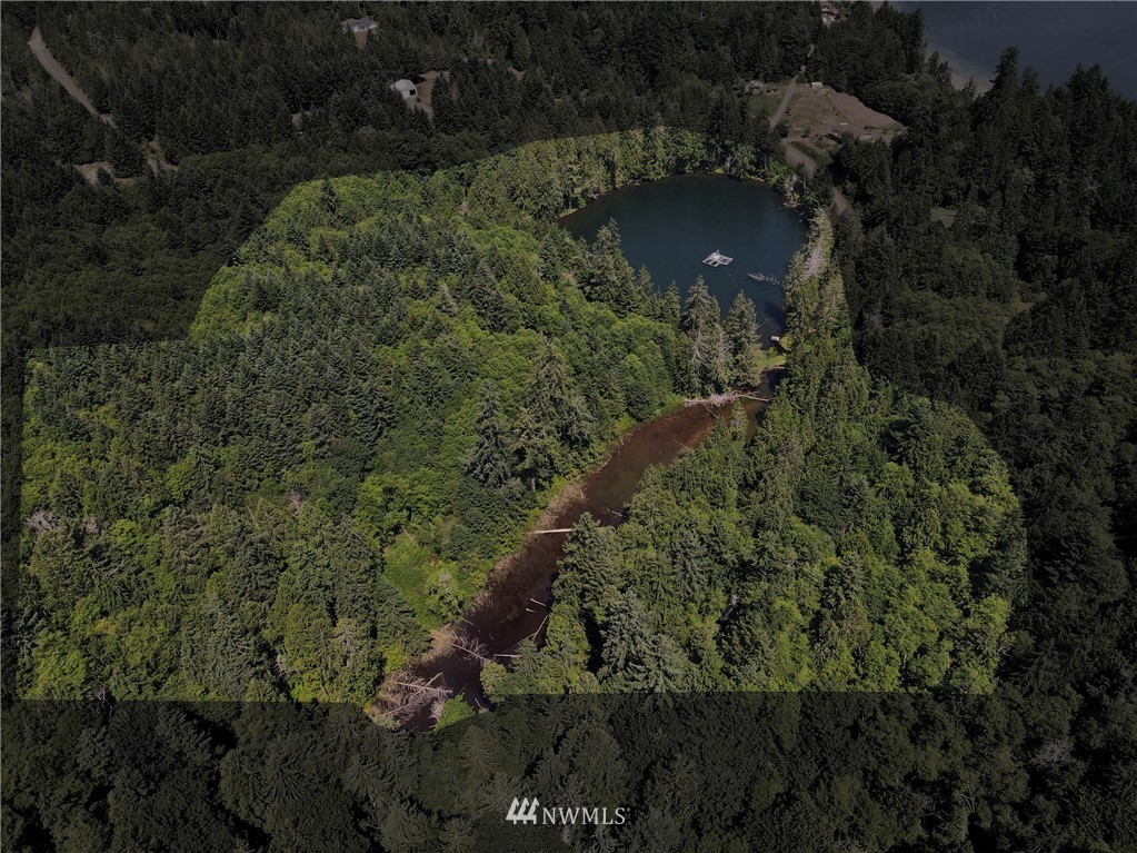 1192 Black Point Road Brinnon, WA 98320 - Photo 6 of 10 a view of a house with a yard and plants