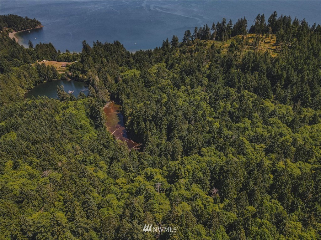1192 Black Point Road Brinnon, WA 98320 - Photo 7 of 10 a view of a building