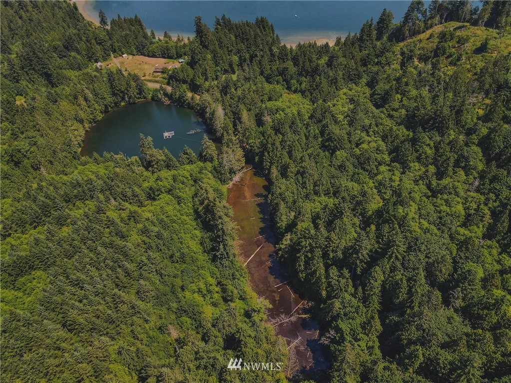 1192 Black Point Road Brinnon, WA 98320 - Photo 8 of 10 an aerial view of residential house with outdoor space and trees all around