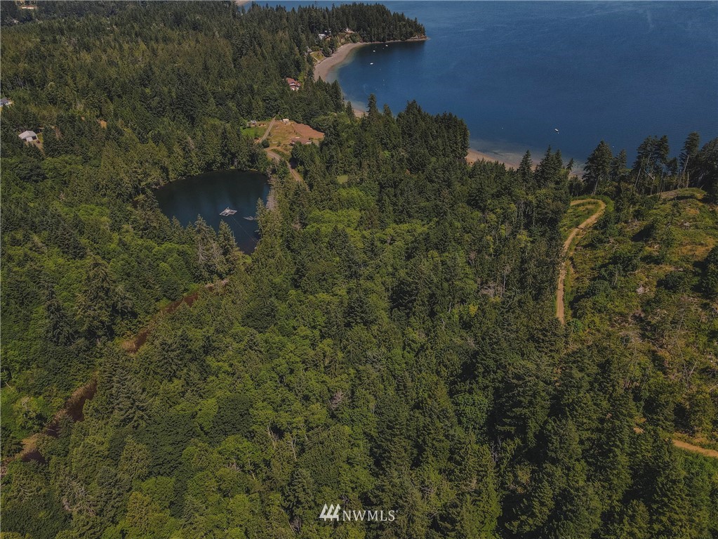 1192 Black Point Road Brinnon, WA 98320 - Photo 9 of 10 a view of a lake from a yard