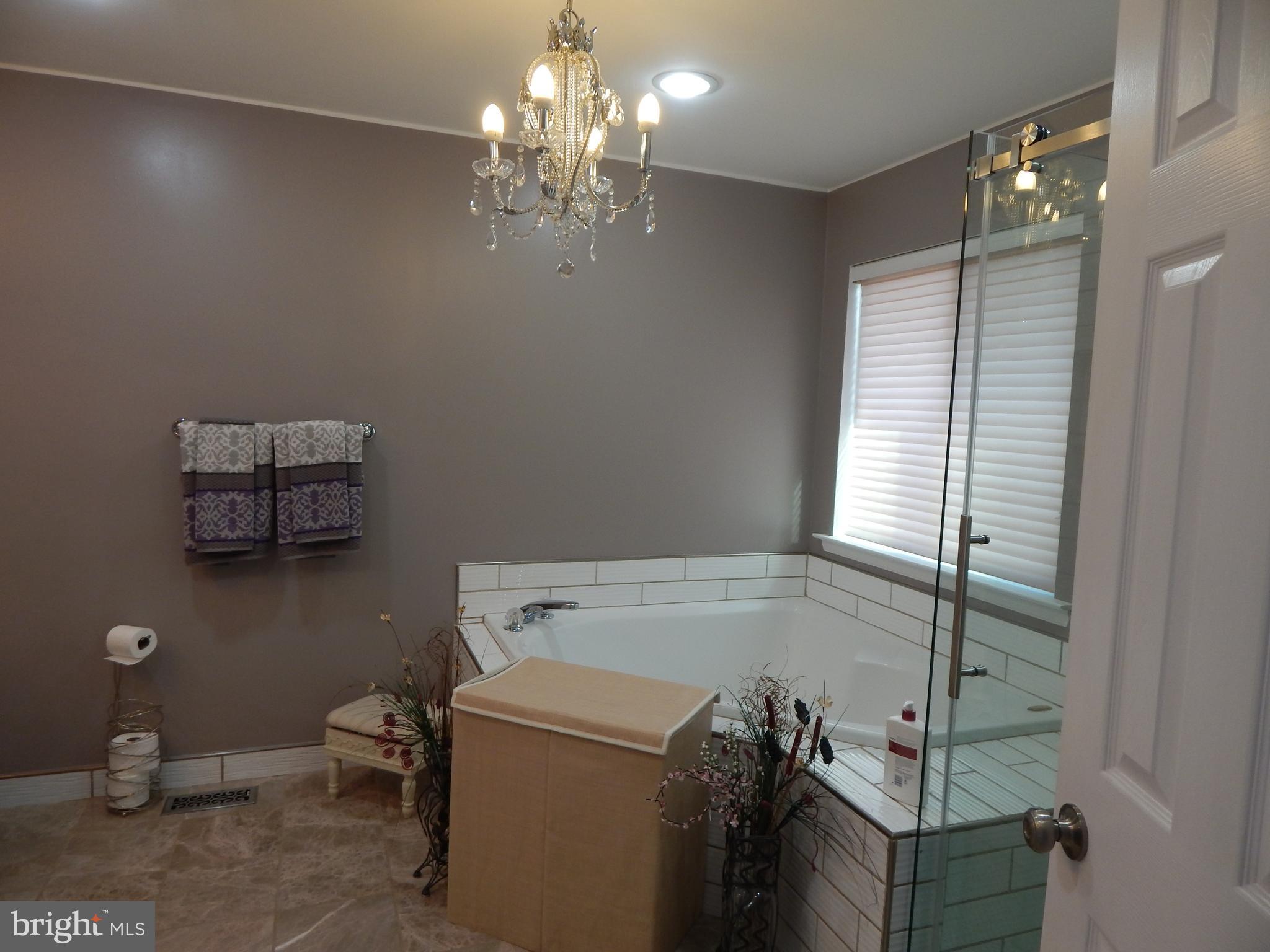6324 Patuxent Quarter Road Hanover, MD 21076 - Photo 18 of 29 Bath (Master)