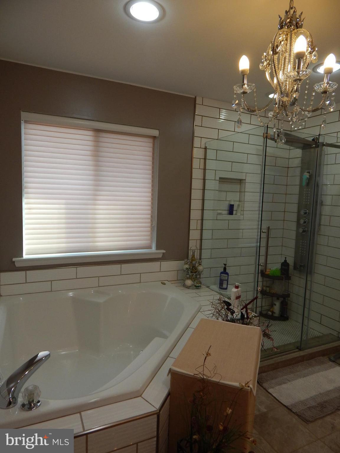6324 Patuxent Quarter Road Hanover, MD 21076 - Photo 19 of 29 Bath (Master)