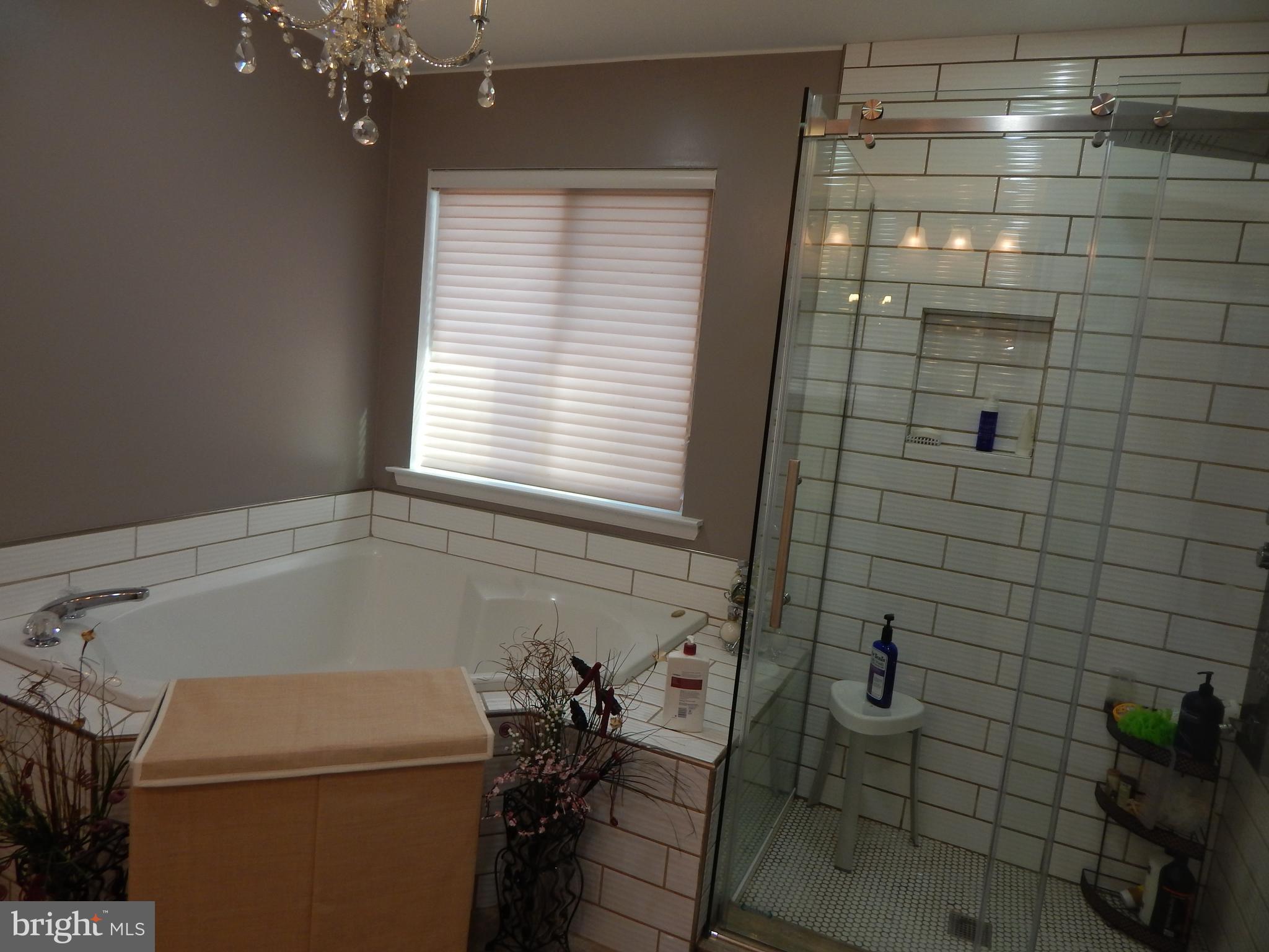 6324 Patuxent Quarter Road Hanover, MD 21076 - Photo 20 of 29 Bath (Master)