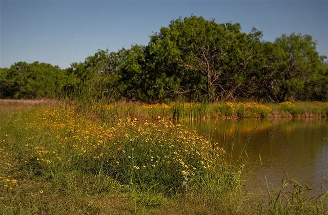 $1,625,000 | 141 South Private Road 1026, Kingsville, TX 78363